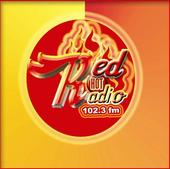 RED HOT RADIO STRIVAZ MOVEMENTS profile picture