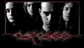 Carcass profile picture