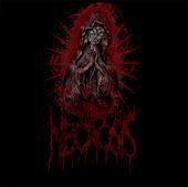 Necrosis profile picture