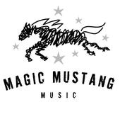 Magic Mustang Music profile picture