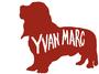 YVAN MARC profile picture