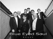 Blue Eyed Soul Revue profile picture