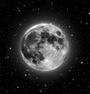 The Moon Society profile picture