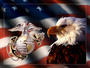 Support Our Troops profile picture