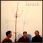 Torpid profile picture