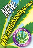 Cannabis College Amsterdam profile picture