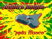 centro jungla profile picture