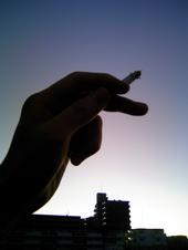 Superheterodyne profile picture