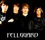 FELLGUARD Best High School Band 2008 IEMA’s profile picture