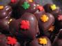 Choco-A-Go-Go: Vegan Chocolates profile picture