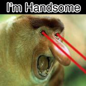 I'm a Handsome Devil profile picture