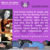 Alison Acaster : Beaming Hands profile picture