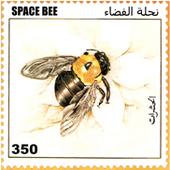 Space Bee profile picture