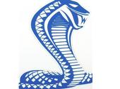 Cobra Grande profile picture