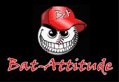 Bat Attitude Sports profile picture