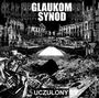 GLAUKOM SYNOD (The random is in your hears) profile picture
