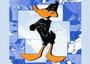 Daffy Duck profile picture