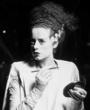 Bride of Frankenstein profile picture