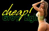 www.cheapgrowlights.com profile picture