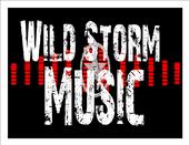 wildstormmusic profile picture