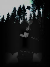 NightForest profile picture