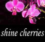 Shine Cherries profile picture