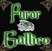 FUROR GALLICO - in studio profile picture