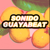 SONIDO GUAYABEAT profile picture