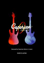 Caparison Guitars profile picture