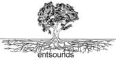 entsounds profile picture