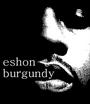 eshon burgundy(dipped in the King’s Blood) profile picture