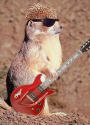 ZZ Top profile picture