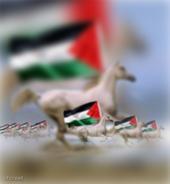 rery,PALESTINE profile picture