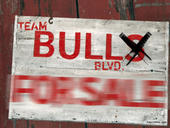 TEAM BULL BLVD. profile picture