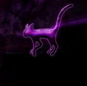 Purple Stained Cat profile picture