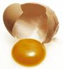 yolk profile picture