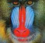 Mandrill profile picture