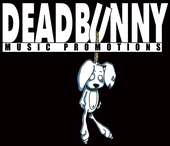 Dead Bunny Musicâ„¢ profile picture