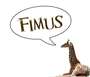 Fimus profile picture