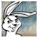 white rabbit profile picture