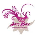 JosyBay554 OFFICIEL profile picture