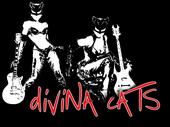 divina cats profile picture