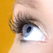 amplifiedlashes