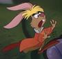 THE MARCH HARE profile picture