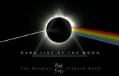 Dark Side Of The Moon profile picture