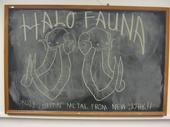 halo fauna profile picture