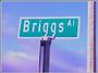 the briggs fan site profile picture