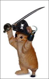 piratekittens