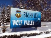 Wolf Valley profile picture