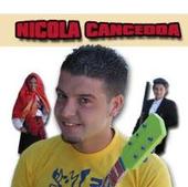 Nicola Cancedda profile picture